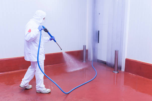 Best Driveway Pressure Washing  in Linton Hall, VA