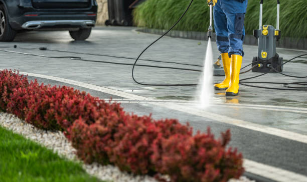 Best Dumpster Area Cleaning  in Linton Hall, VA